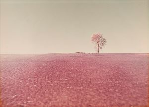 Senza titolo (Paesaggio)