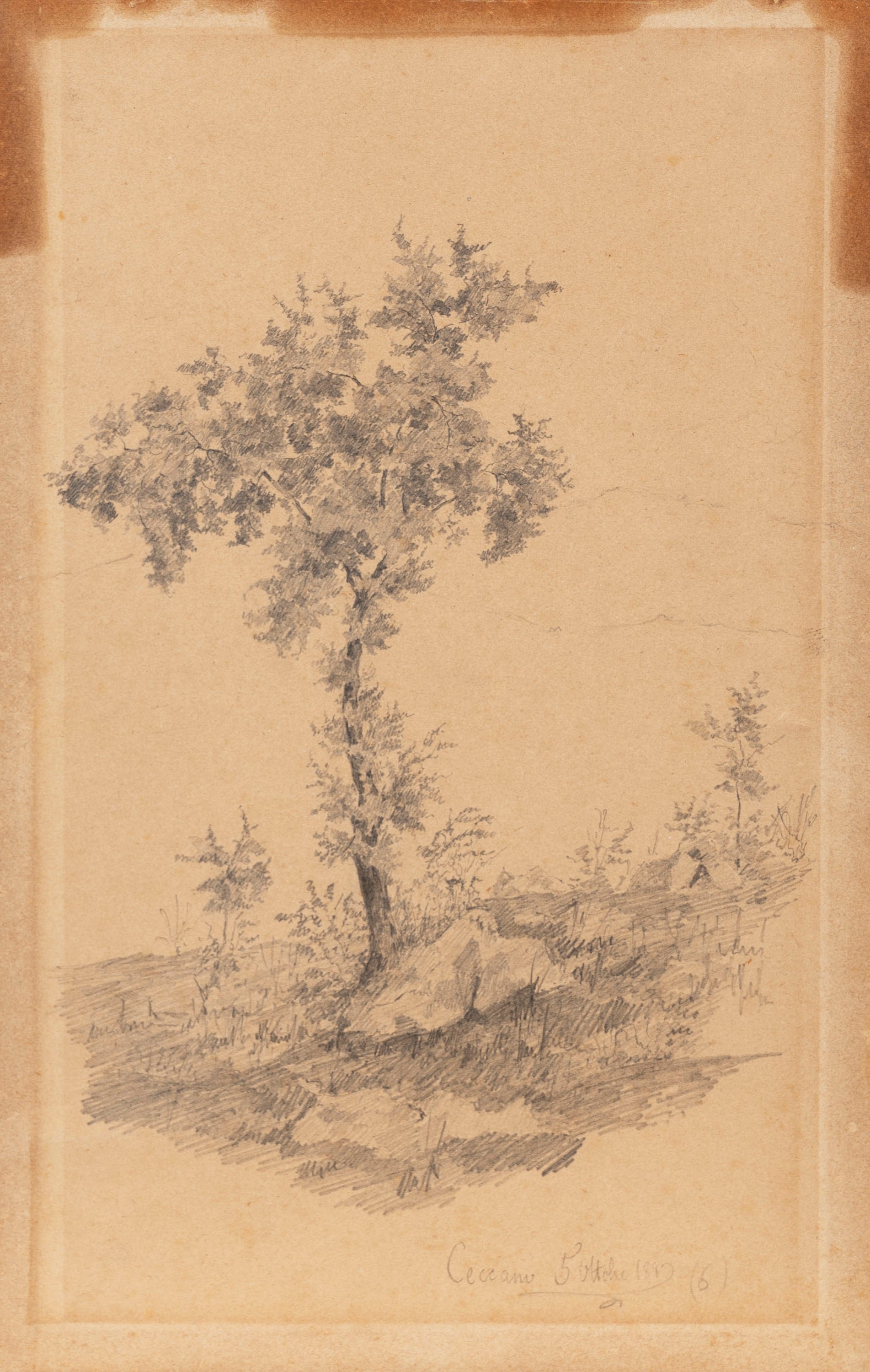 Lorenzo Cecconi - Vedute di Ceccano