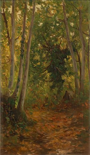 Cecconi Lorenzo - Path in the woods in Rocca di Papa