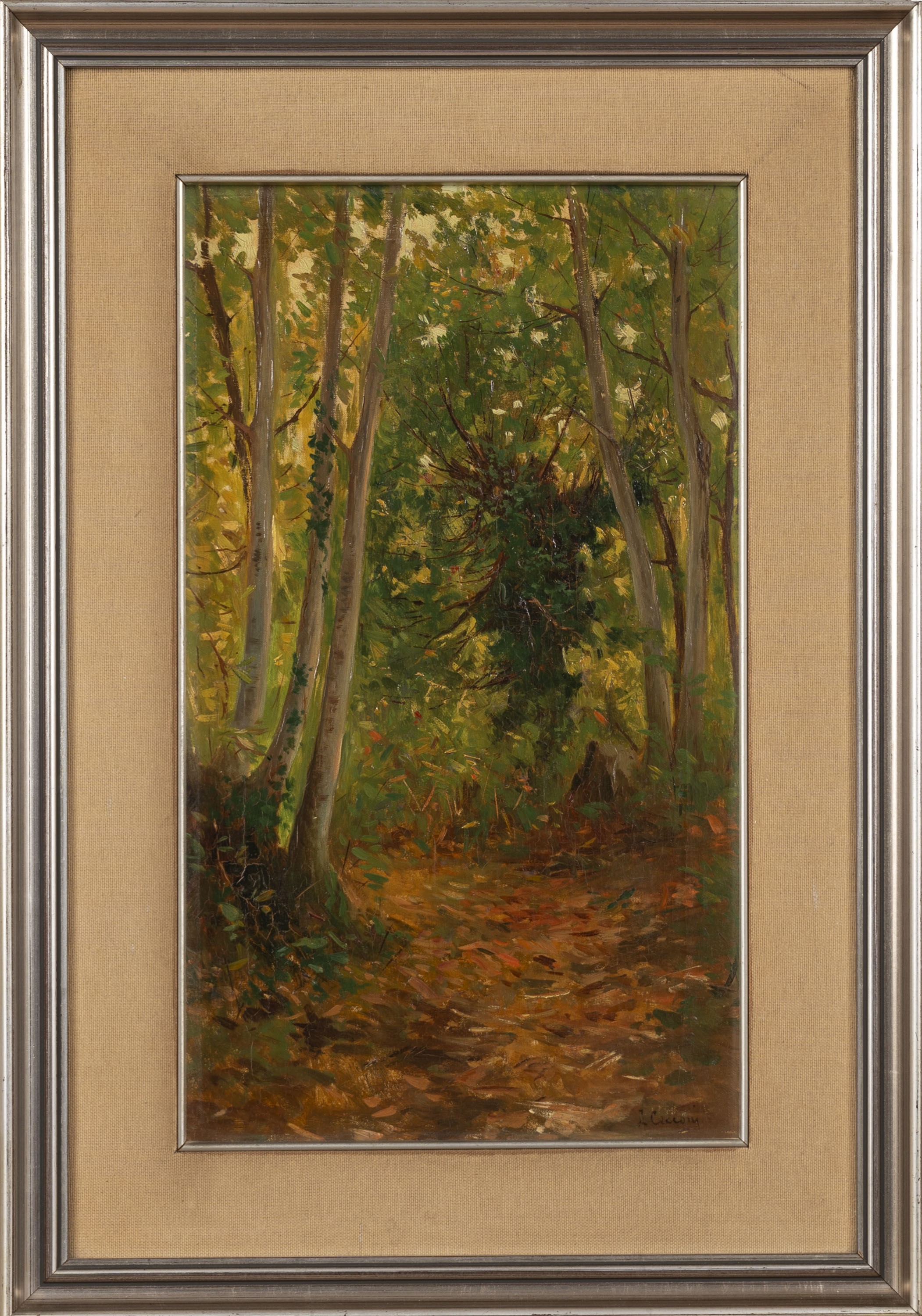 Lorenzo Cecconi - Sentiero nel Bosco a Rocca di Papa