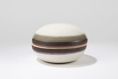 Grande Contenitore con Coperchio