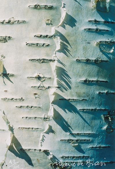 Flying Object di Roberto Sanesi