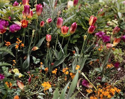 Giverny 15 - C-print vintage, 2002