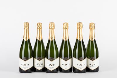 Levii Brut 2020 (6 Bt)