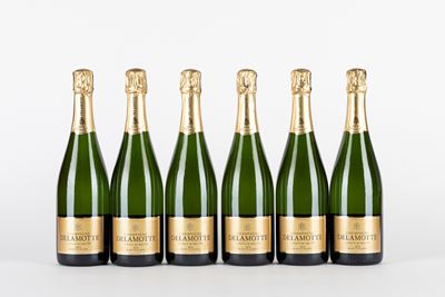 Delamotte Bdb 2014 (6 Bt)
