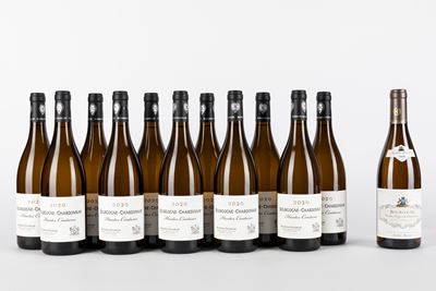 Selezione Bianchi Borgogna (12 Bt)