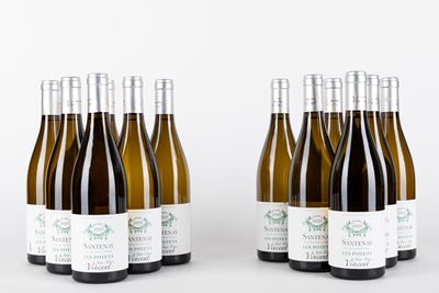 Jean Marc Vincent Santenay Blanc 2020 (12 Bt)