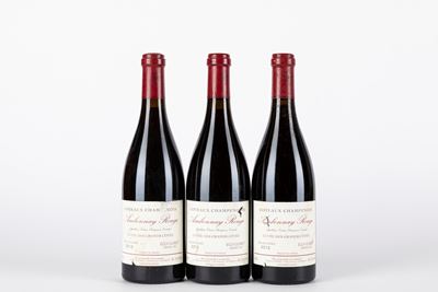 Egly Ouriet Rouge 2012 (3 Bt)