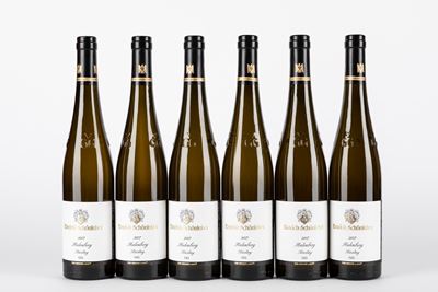 Schonleber Halenberg Riesling Gg 2017 (6 Bt)