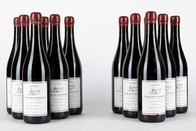 Valle Reale Montepulciano D'abruzzo Vigna del Convento (12 Bt)