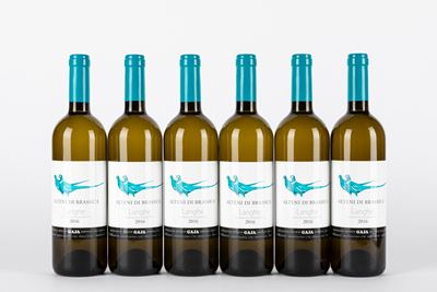 Gaja Alteni di Brassica 2016 (6 Bt)