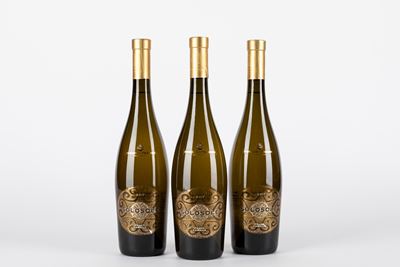 Poggio al Tesero Pagus Camilla 2017 (3 Bt)