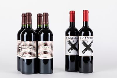 Selezione Supertuscan (6 Bt)