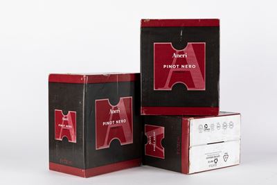 Aneri Pinot Nero 2020 (18 Bt)