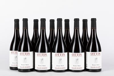 Ottin Pinot Noir 2021 (11 Bt)