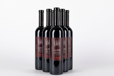 Allegrini la Poja 2017 (6 Bt)