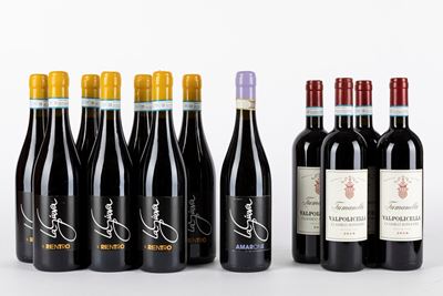 Selezione Valpolicella (12 Bt)