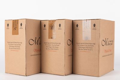 Mazzi Valpolicella Classico 2021 (18 Bt)