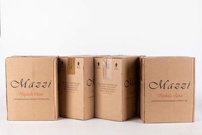 Mazzi Valpolicella Classico 2021 (24 Bt)