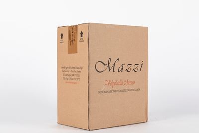 Mazzi Valpolicella Classico 2021 (6 Bt)