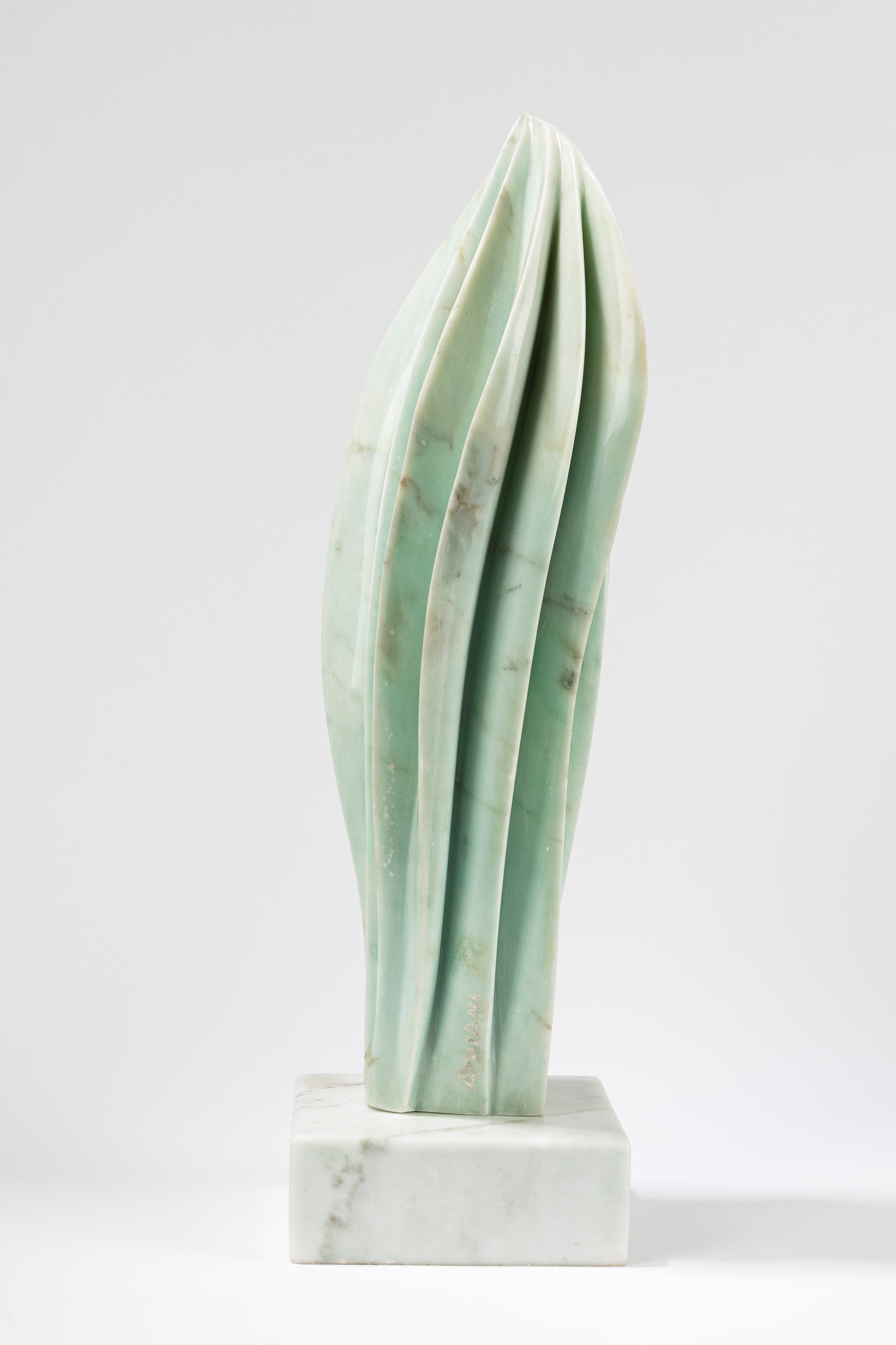 Alberto Viani - Fiamma Verde