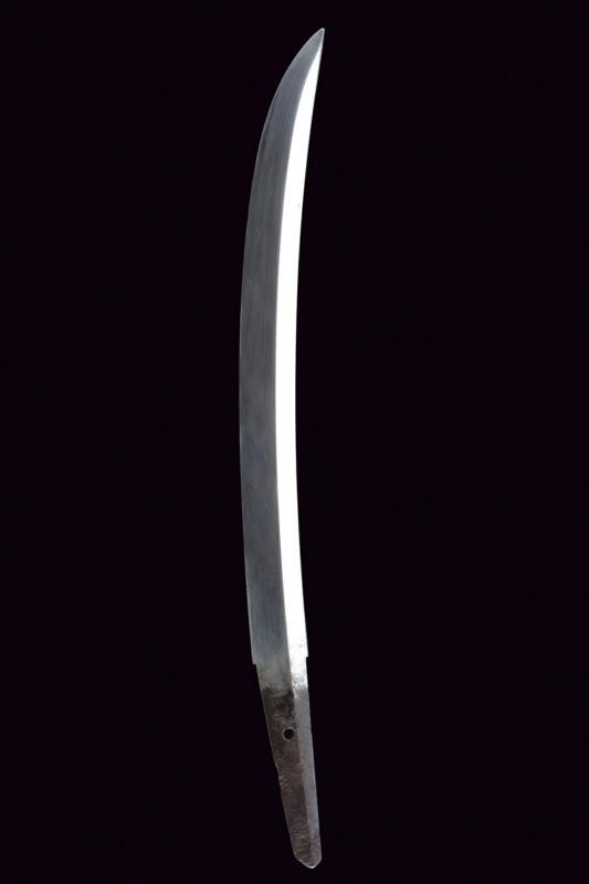 Wakizashi in Koshirae