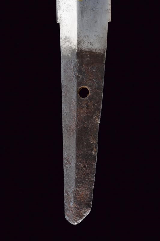 Wakizashi in Koshirae