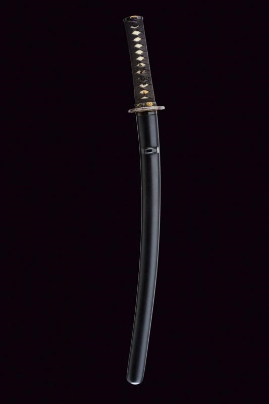 Wakizashi in Koshirae
