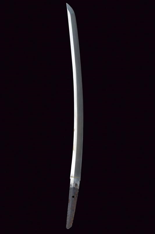 Wakizashi in Koshirae