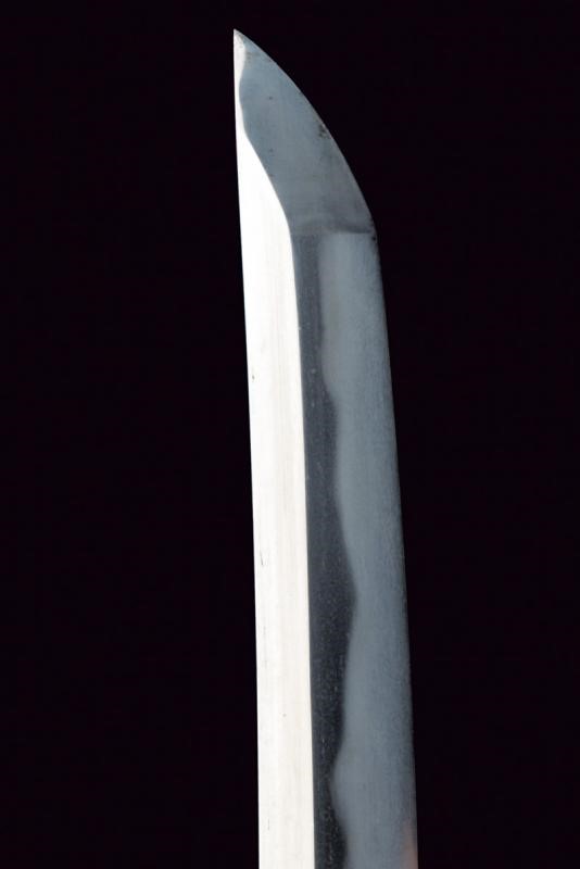 Wakizashi in Shirasaya