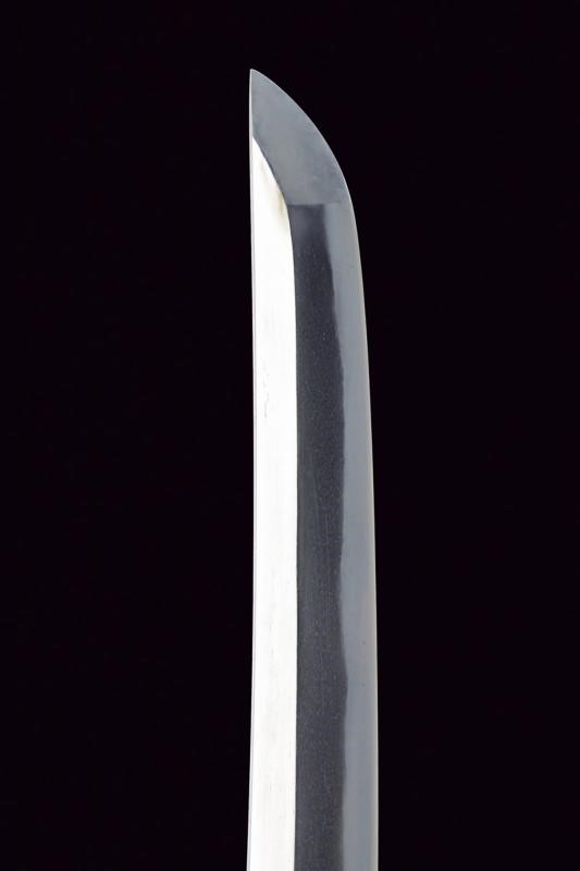 Wakizashi in Koshirae