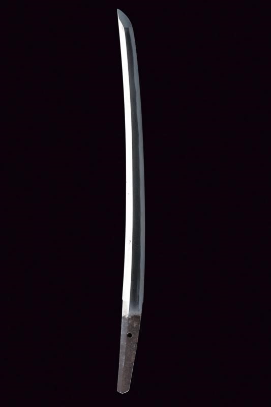 Wakizashi in Koshirae