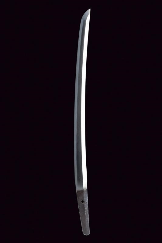 Wakizashi in Koshirae