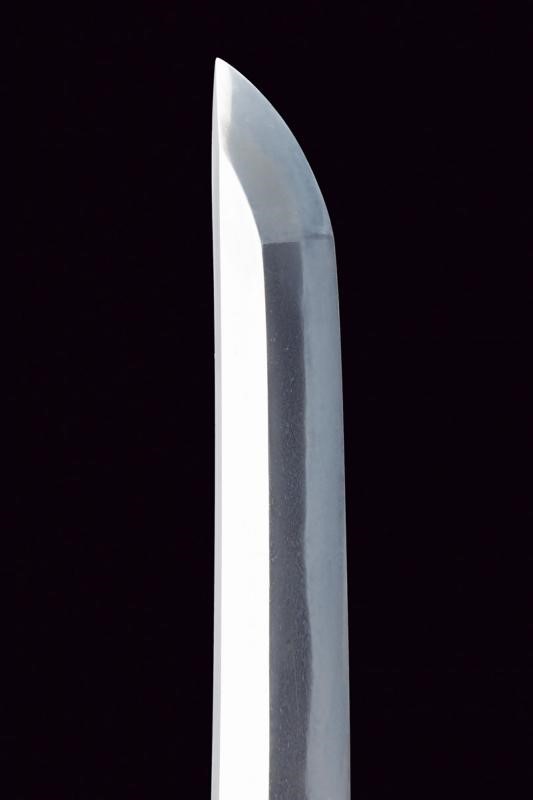 Wakizashi in Koshirae