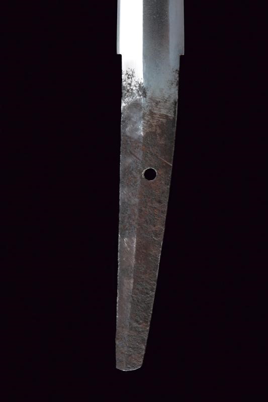 Wakizashi in Koshirae