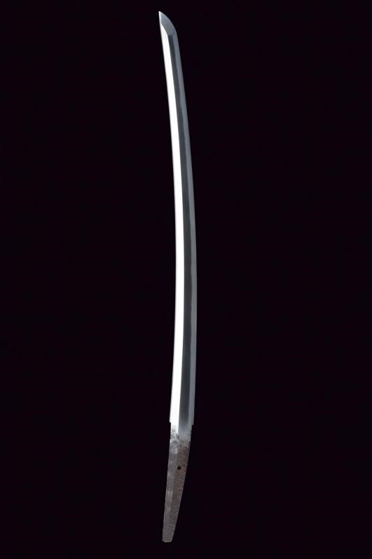 Wakizashi in Koshirae