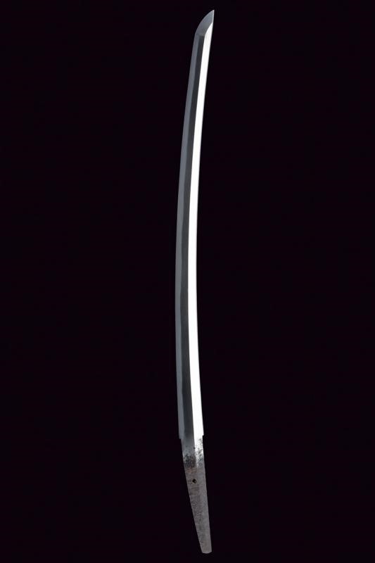 Wakizashi in Koshirae