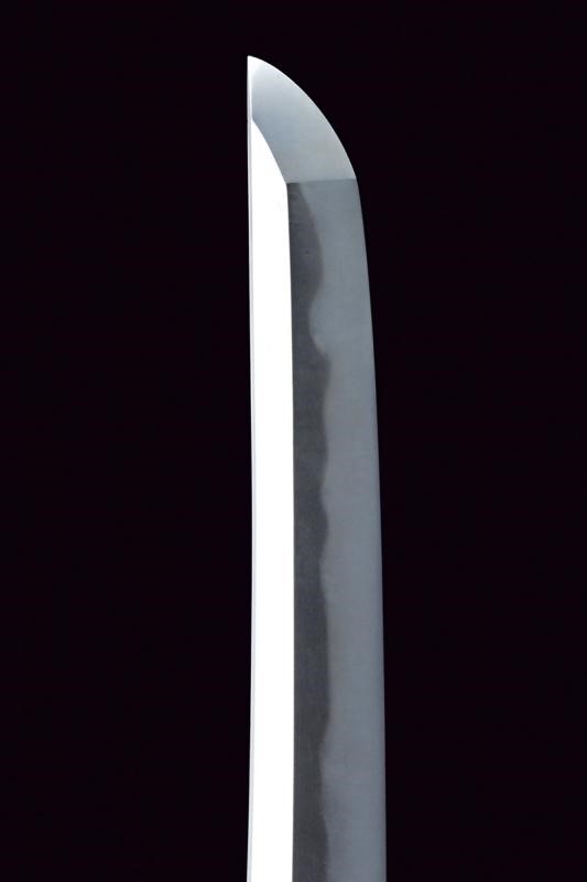 Wakizashi in Shirasaya
