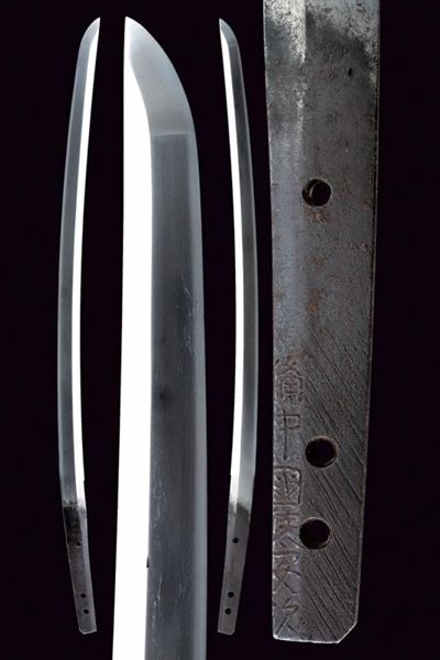 Wakizashi in Koshirae