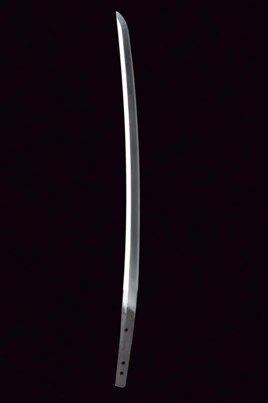 Wakizashi in Koshirae