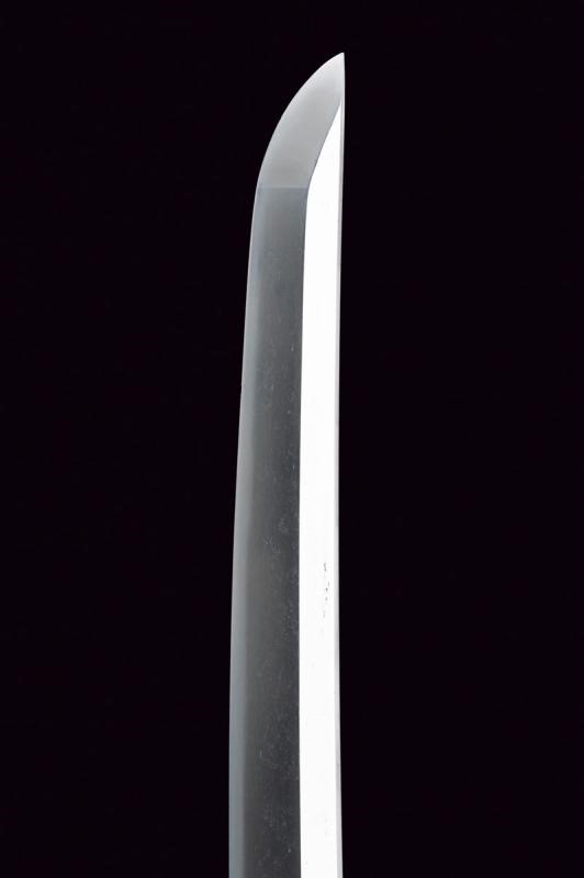 Wakizashi in Koshirae
