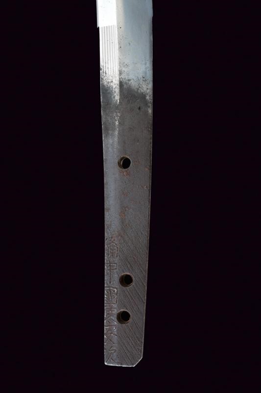 Wakizashi in Koshirae