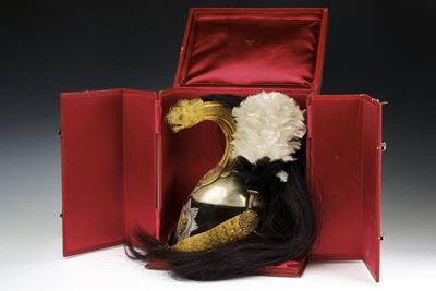 Magnifico Elmo della Guardia Nobile, Epoca Pio IX