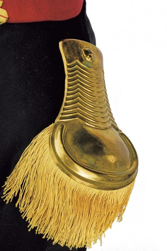 Uniforme da Guardia Palatina con Baionetta