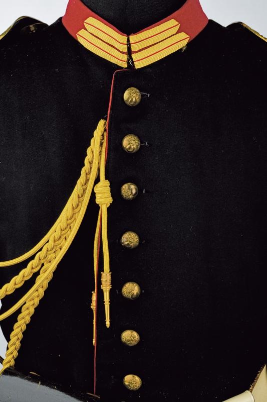 Uniforme da Guardia Palatina con Baionetta
