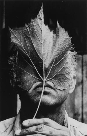 Ellsworth Kelly - Chatam N.Y.