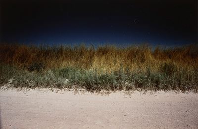 Paesaggio, stampa cromogenica