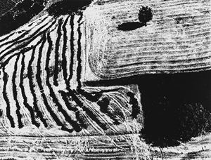 Untitled (Landscape)