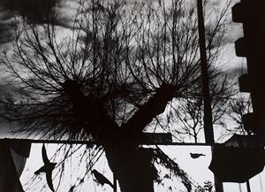 Giacomelli Mario - Untitled