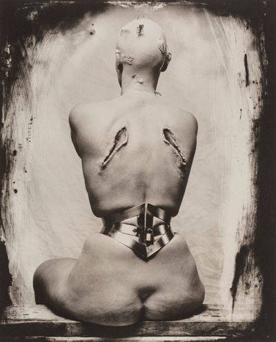 Woman Once a Bird, stampa al platino vintage